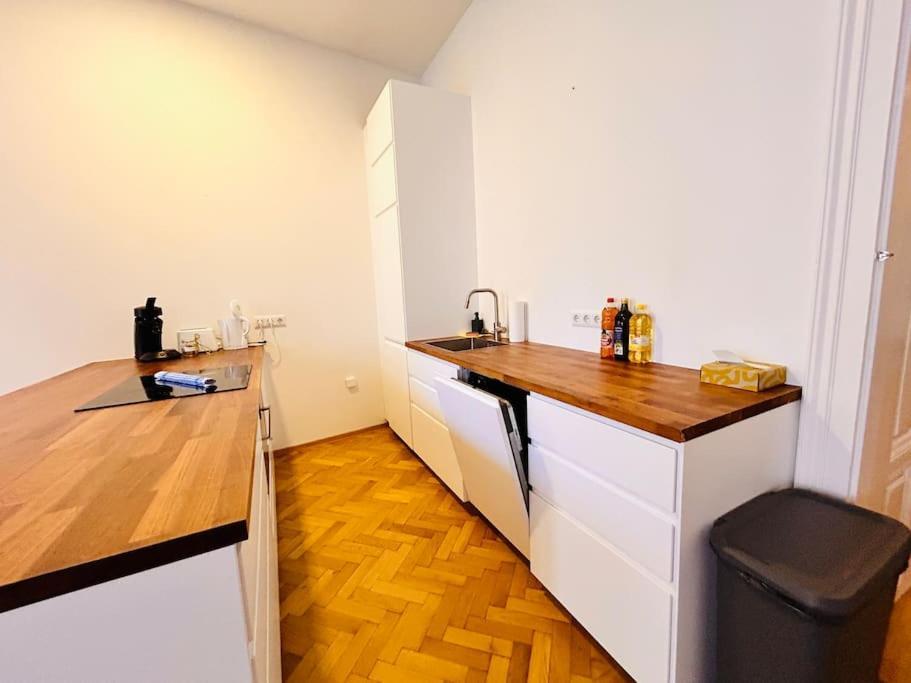 Geraeumiges Im Wiener Altbauflair